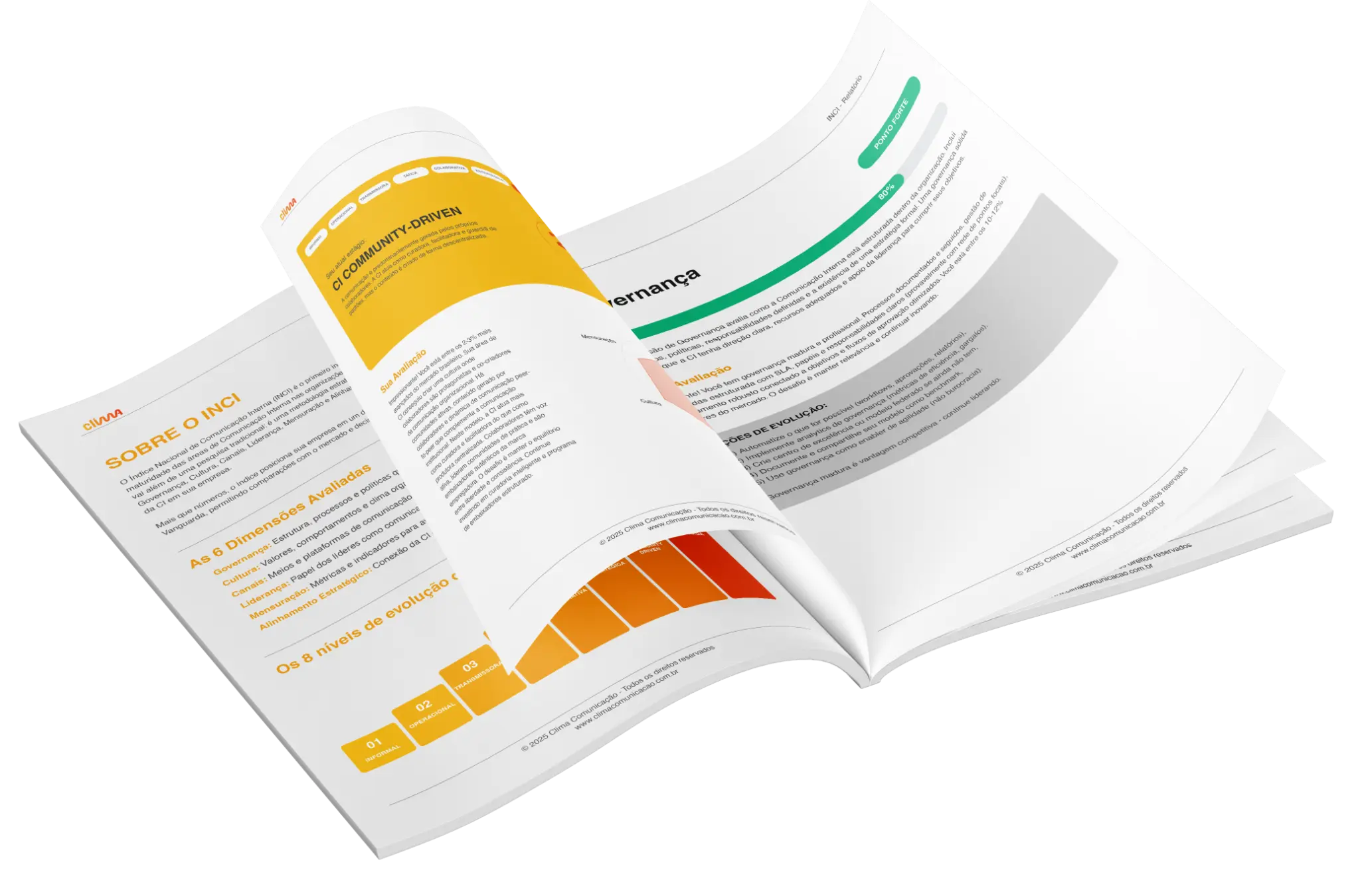 Mockup do Relatório INCI